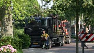 rooien van bomen in boxtel met de vrachtwagen afvoeren van stammen van een suikeresdoorn